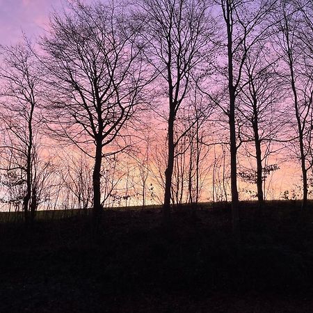 La Canopee Des Arbres, Anna Ellezelles Eksteriør billede