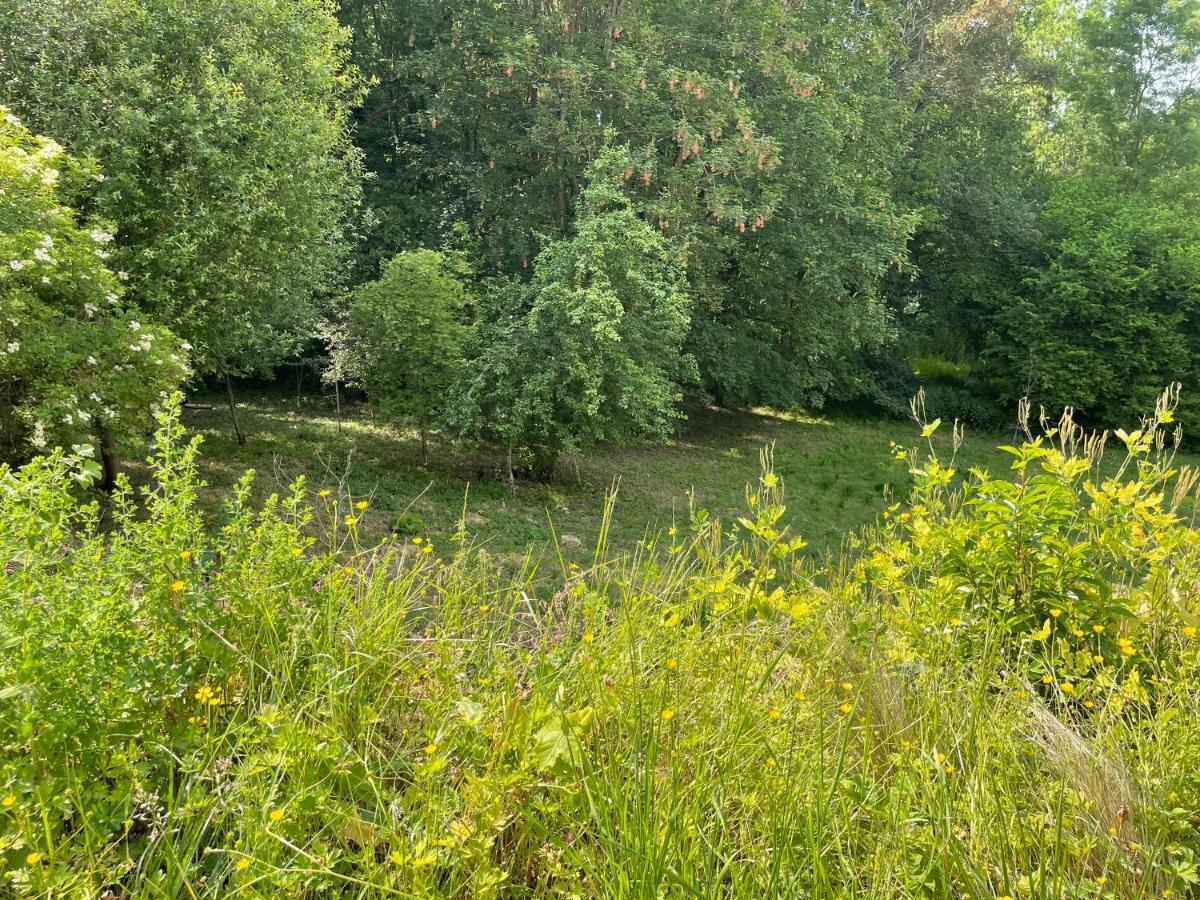 La Canopee Des Arbres, Anna Ellezelles Eksteriør billede